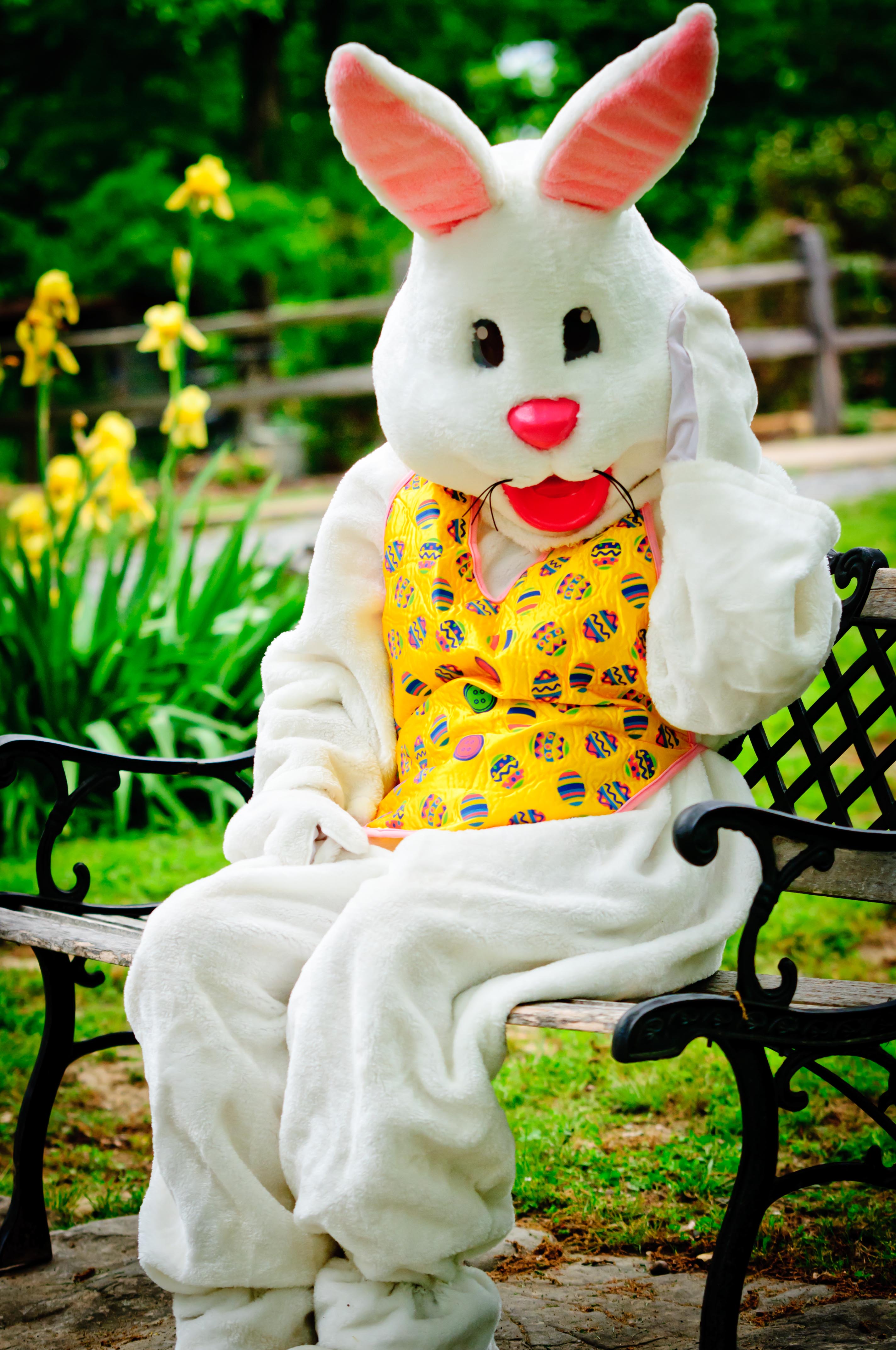 EasterBunny