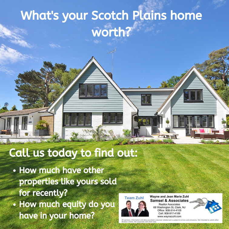 scotch plains free market analysis