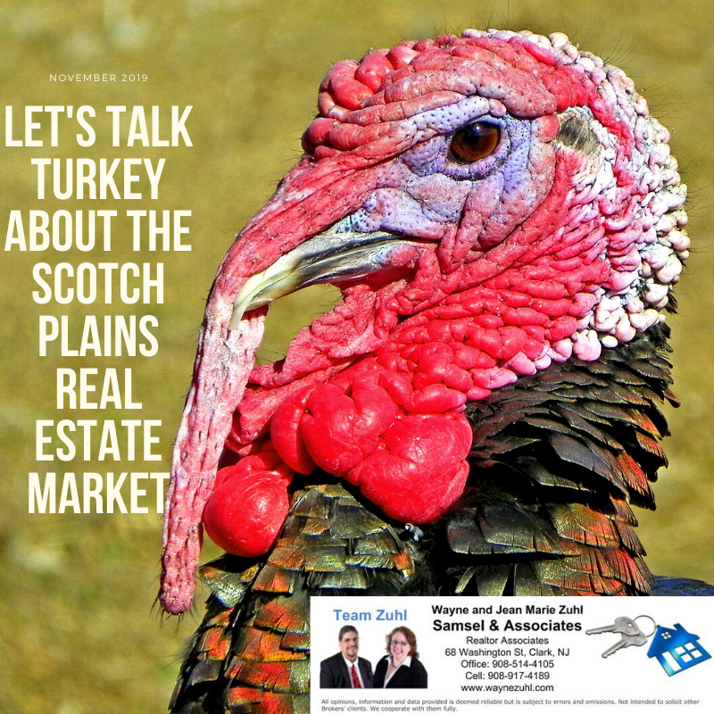 Let's talk turkey about the scotch plains real estate market